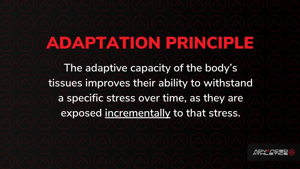 Adam Freidman Advanced Athletics Intelligent Progression Adaptation Principle Fitness Training
